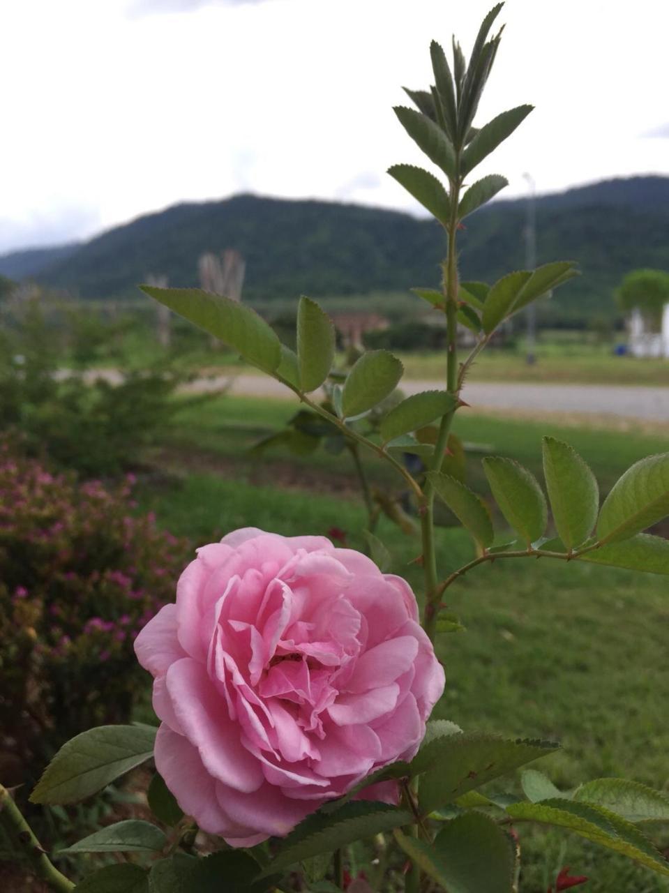 Samerdrow Khao Yai Mu Si Zewnętrze zdjęcie